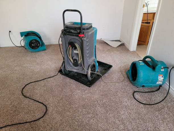 Eldorado At Santa Fe, NM Water damage restoration Pros