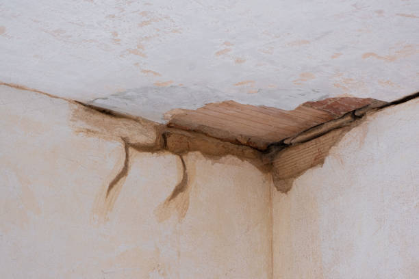 Best Mold removal after water damage  in Eldorado At Santa Fe, NM