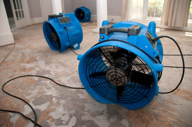 Best Water damage contractors near me  in Eldorado At Santa Fe, NM