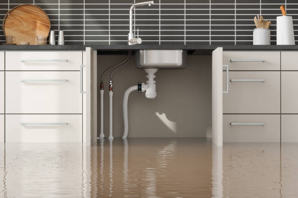 Best Professional water damage repair  in Eldorado At Santa Fe, NM